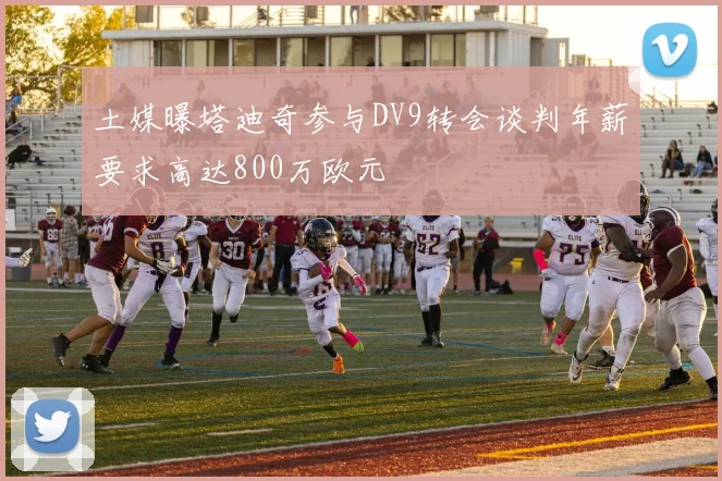 土媒曝塔迪奇参与DV9转会谈判年薪要求高达800万欧元